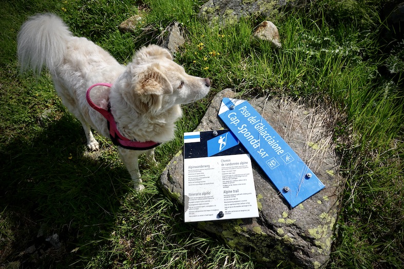Da qui parte l’itinerario bianco-blu per la capanna dell’Alpe Sponda, in val Chironico.