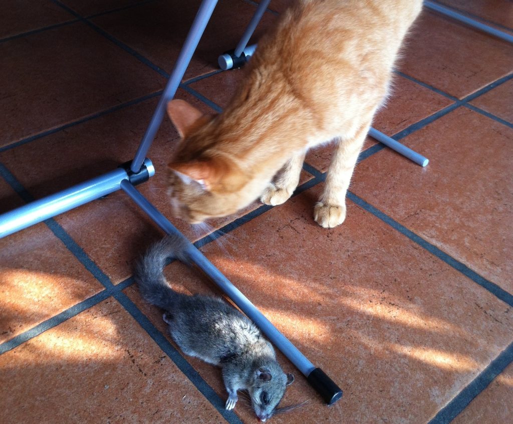 (Fotografia di Alessandra Arrigoni)