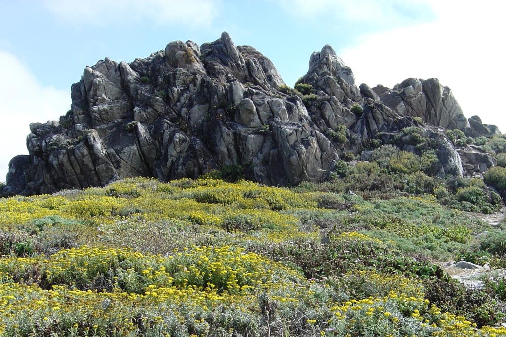 17-Mile Drive: China Rock
