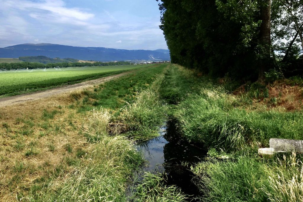 Il sogno transeuropeo ridotto a canale di drenaggio della pianura.