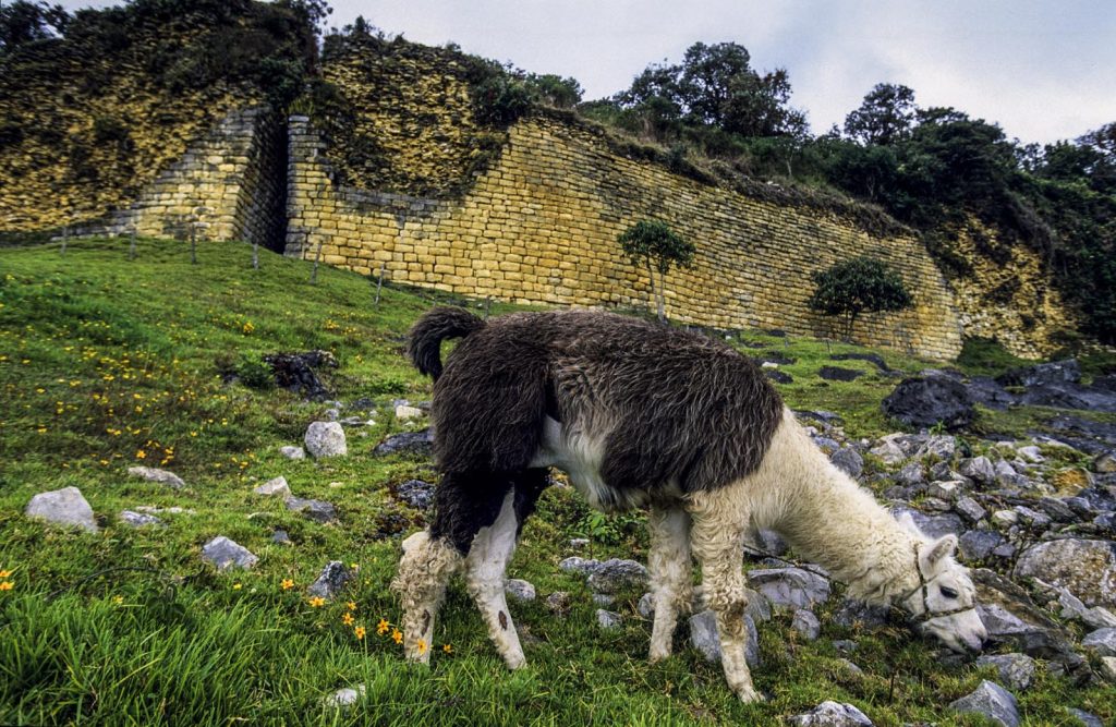 Kuelap una spettacolare città murata pre-Inca nascosta in cima a una montagna scoscesa, a circa 3000 m sul livello del mare