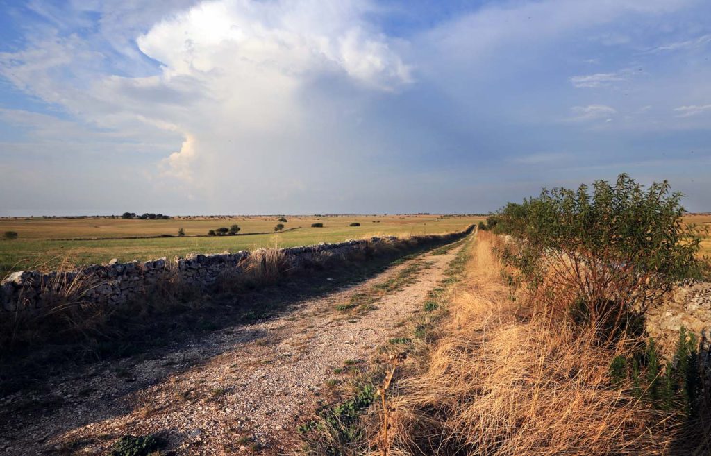 Perdersi percorrendo una strada sterrata in mezzo al niente: se non è la regola, poco ci manca