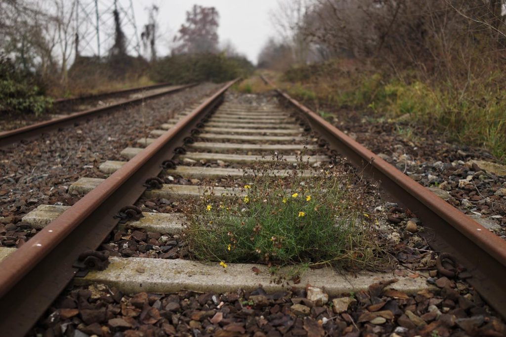 Binari in disuso alle spalle di Rogoredo