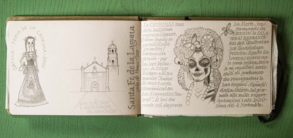 (disegni di Sara Pellicoro)