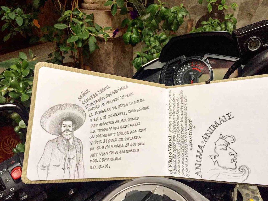 (disegni di Sara Pellicoro)