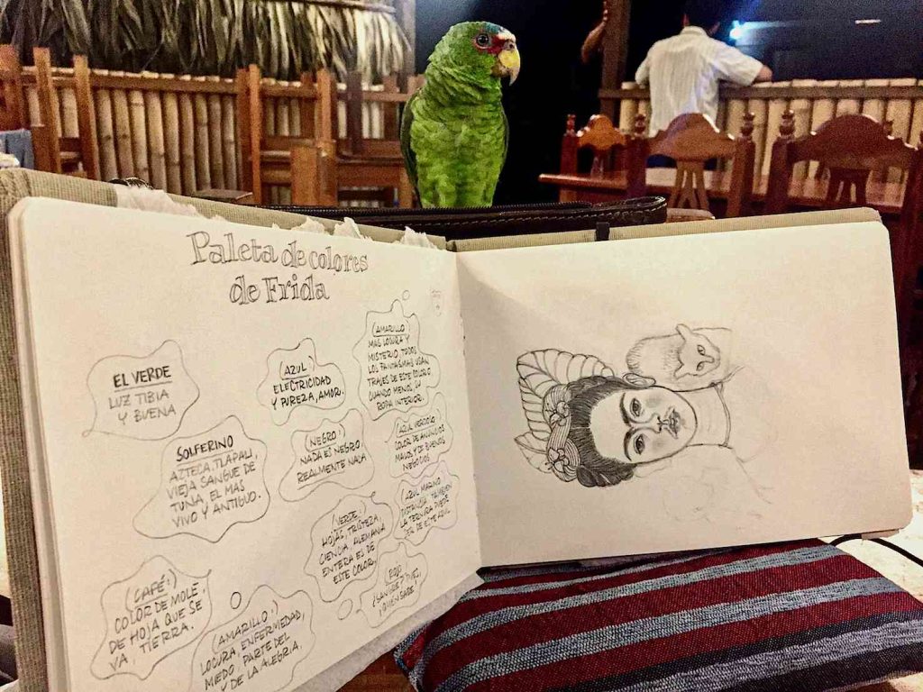 (disegni di Sara Pellicoro)