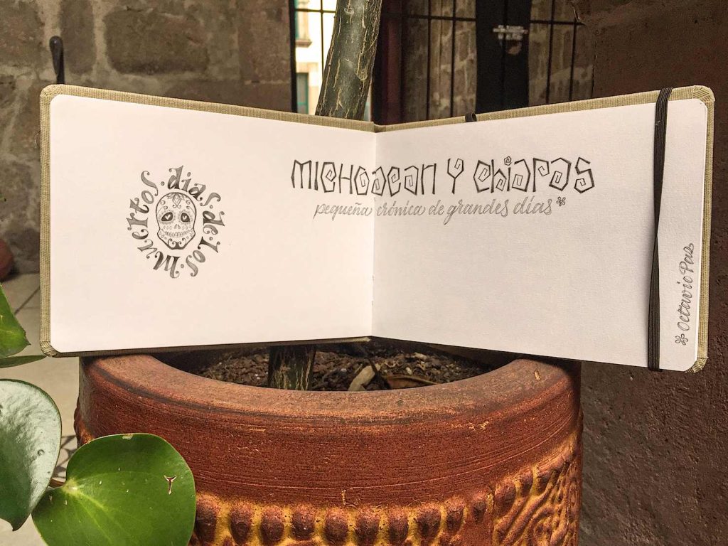 (disegni di Sara Pellicoro)