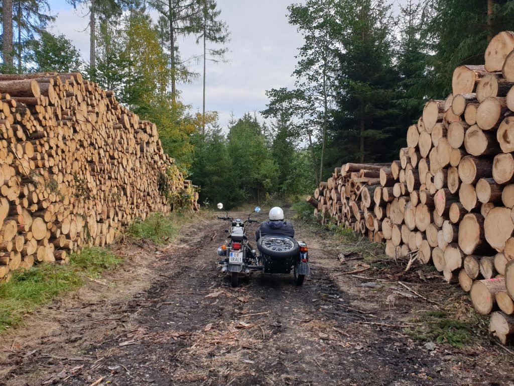 L'autore dell'articolo, Claudio Visentin, nella posa della scimmia (Pietro Visentin)