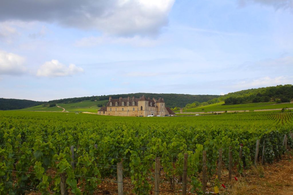I vigneti di Chateau Clos de Vougeot. (Navin75)