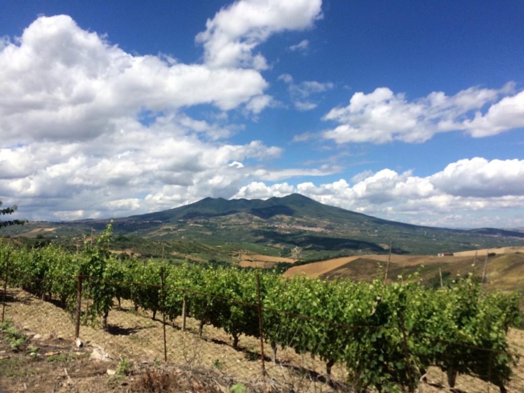 Panorama con vigneto a Monte Vulture (Gianmarco Tirico)