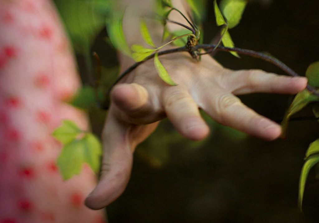 L'immagine usata per la copertina del libro "Il giardino che vorrei" di Pia Pera