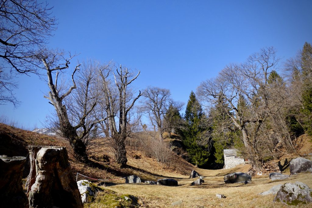Un territorio curato