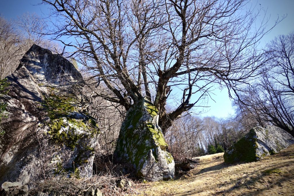 Il sentiero a Soröröi