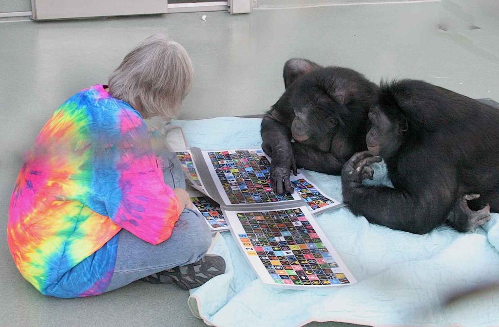 Bisogna pensare alla mente non umana in modo plurale (William H. Calvin. PhD)