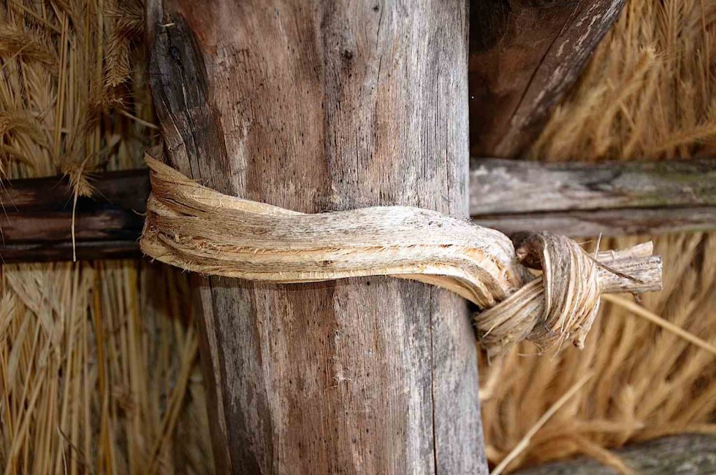 Le torte di betulla delle tradizionali stalle di Centocampi