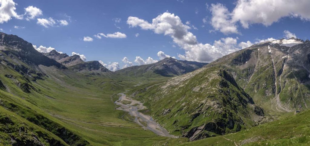 L’altipiano della Greina (Ariocarpusandroides)