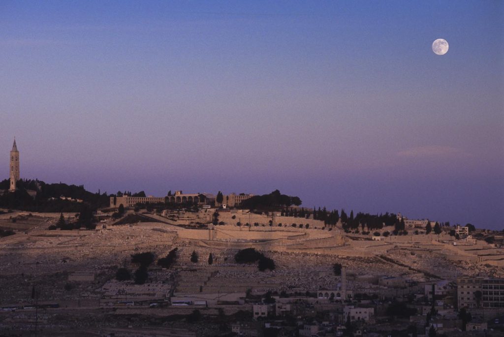 Vista del Monte degli Ulivi