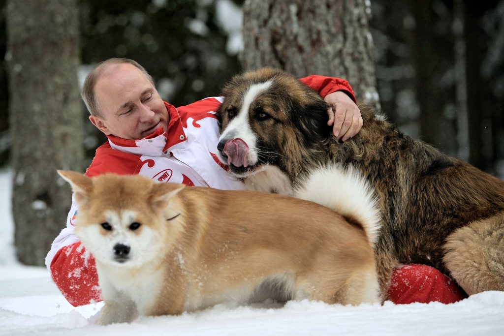 Il presidente russo Vladimir Putin gioca con i suoi cani (Yume, in primo piano, quello regalato dal governo di Tokyo nel 2012) (AFP)
