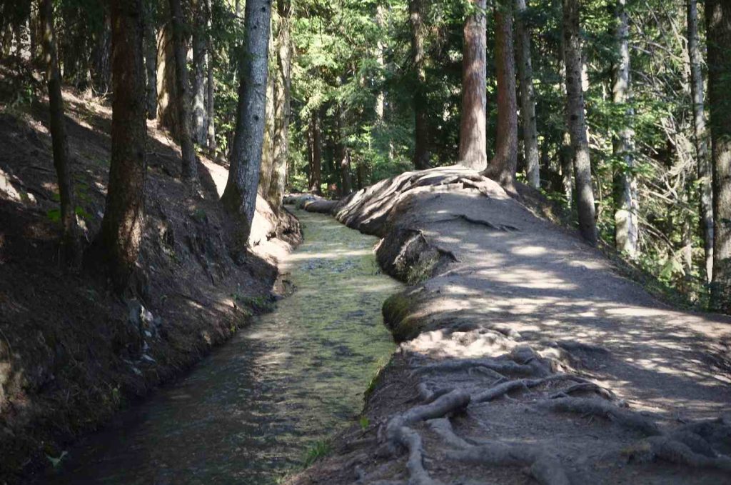 Il sentiero che costeggia il bisse è pelato come una mano segnata da un reticolo di vene