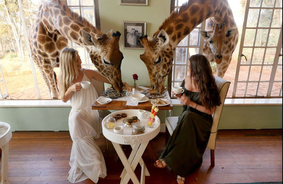 Il Giraffe Manor di Nairobi propone esperienze molto originali (Youtube)