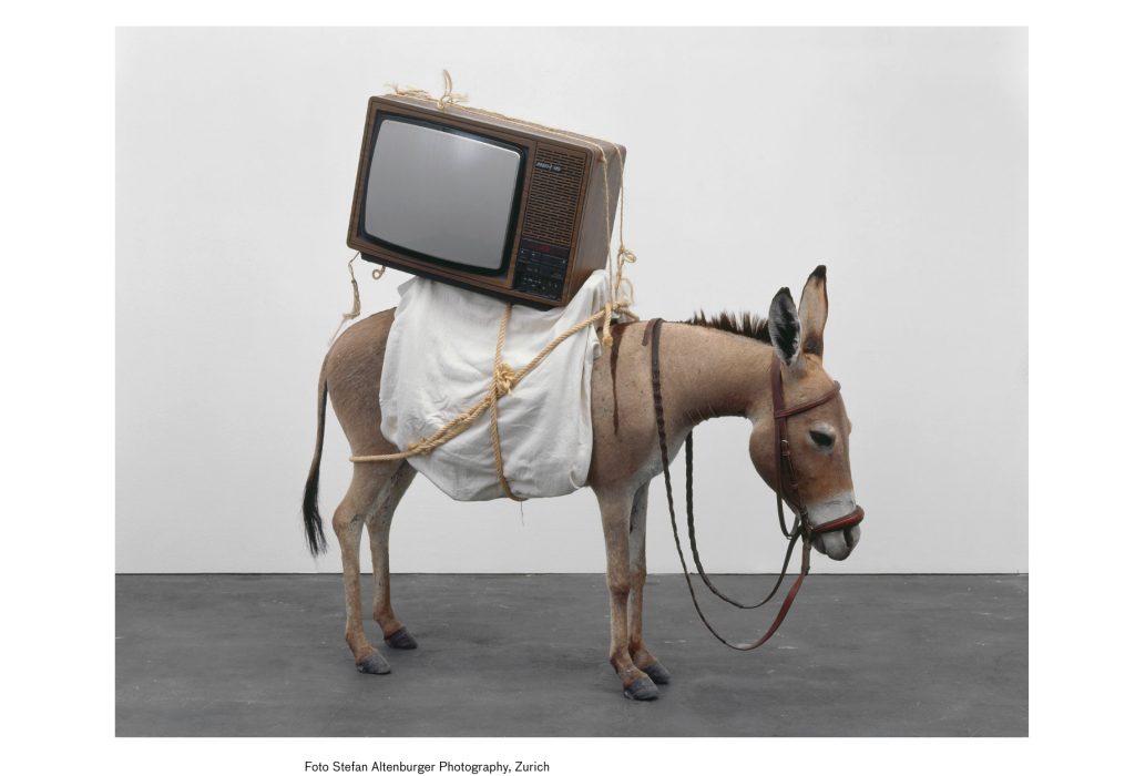 ...Il Migros Museum (Maurizio Cattelan, Stefen Altenburger)