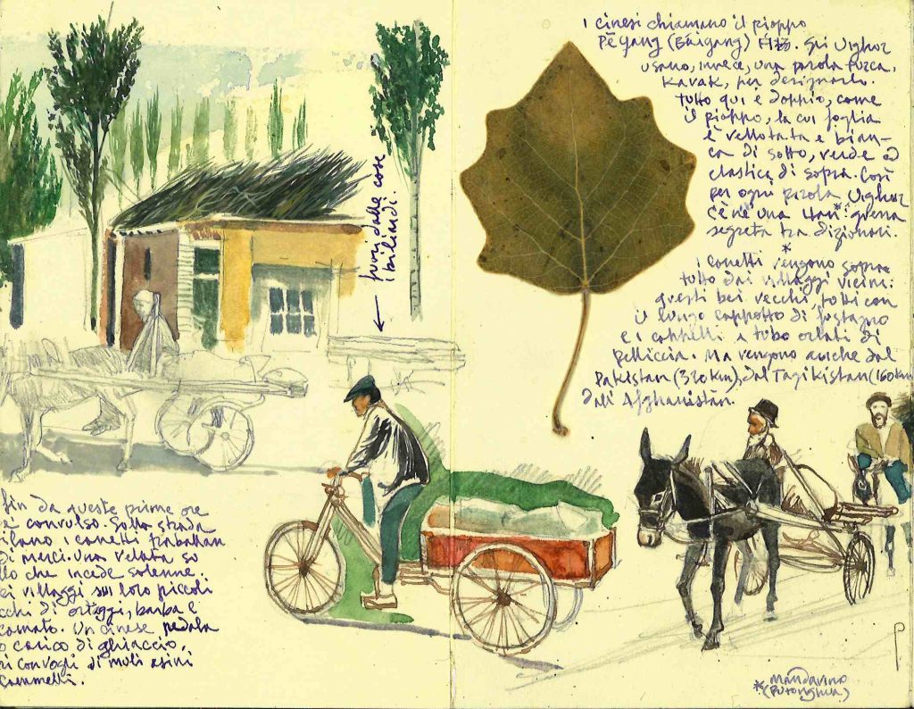 Vedi didascalia nella colonna a sinistra