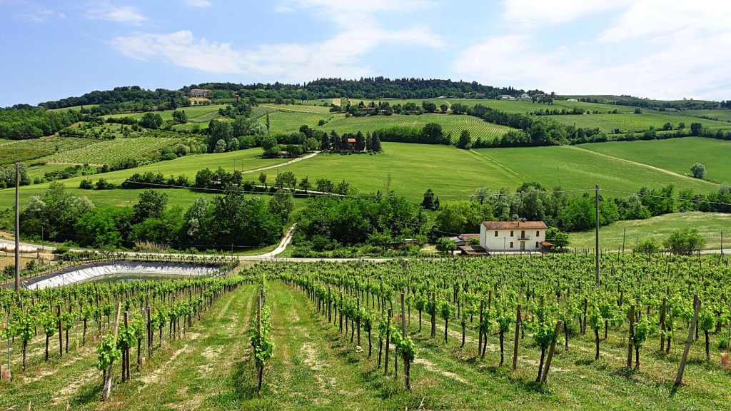 Tra colli e vigneti romagnoli