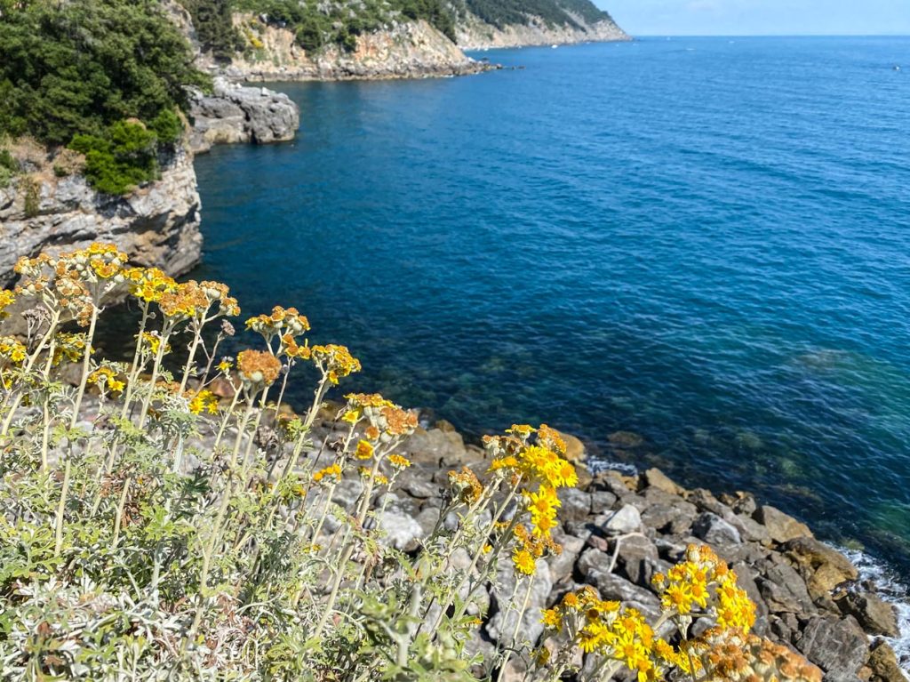 Tellaro, scorcio sul mare