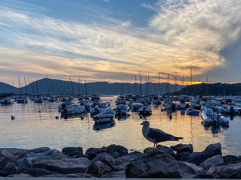Lerici, tramonto con gabbiano