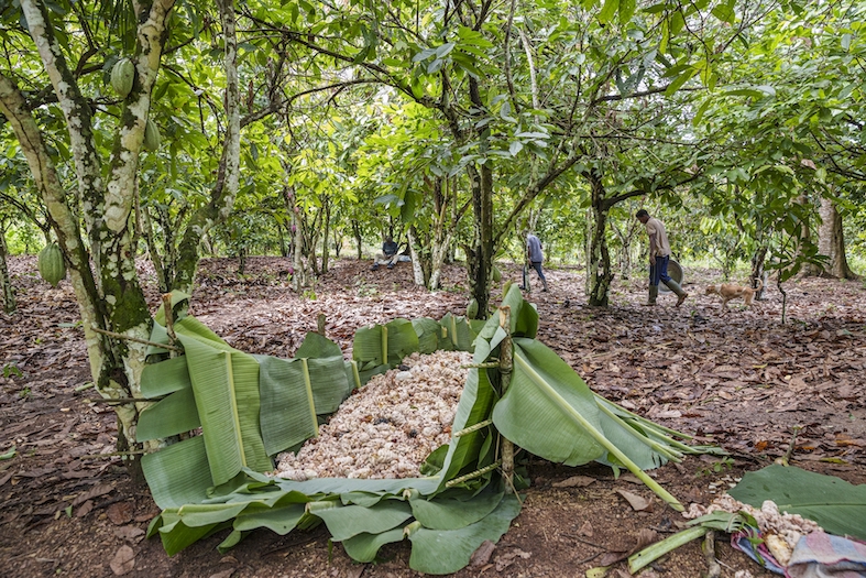 (Flurina Rothenberger)