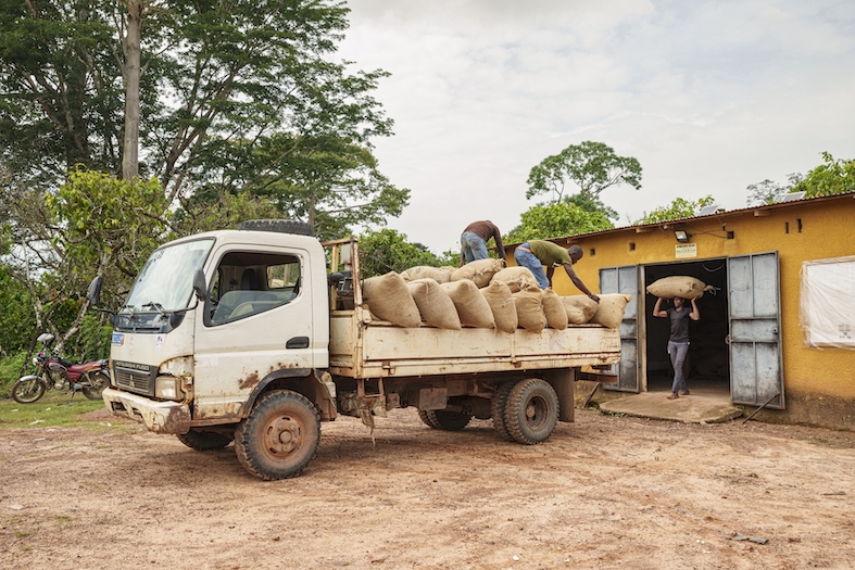 (Flurina Rothenberger)