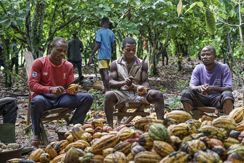 (Flurina Rothenberger)