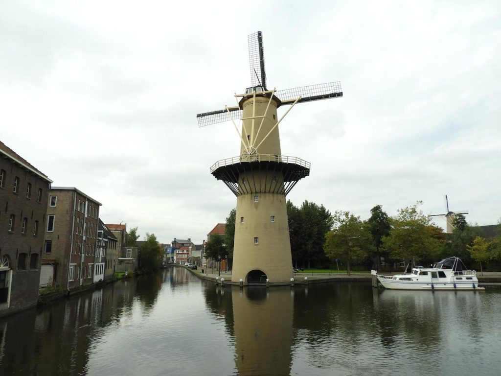 Il nuovo mulino De Kameel (Il Cammello)