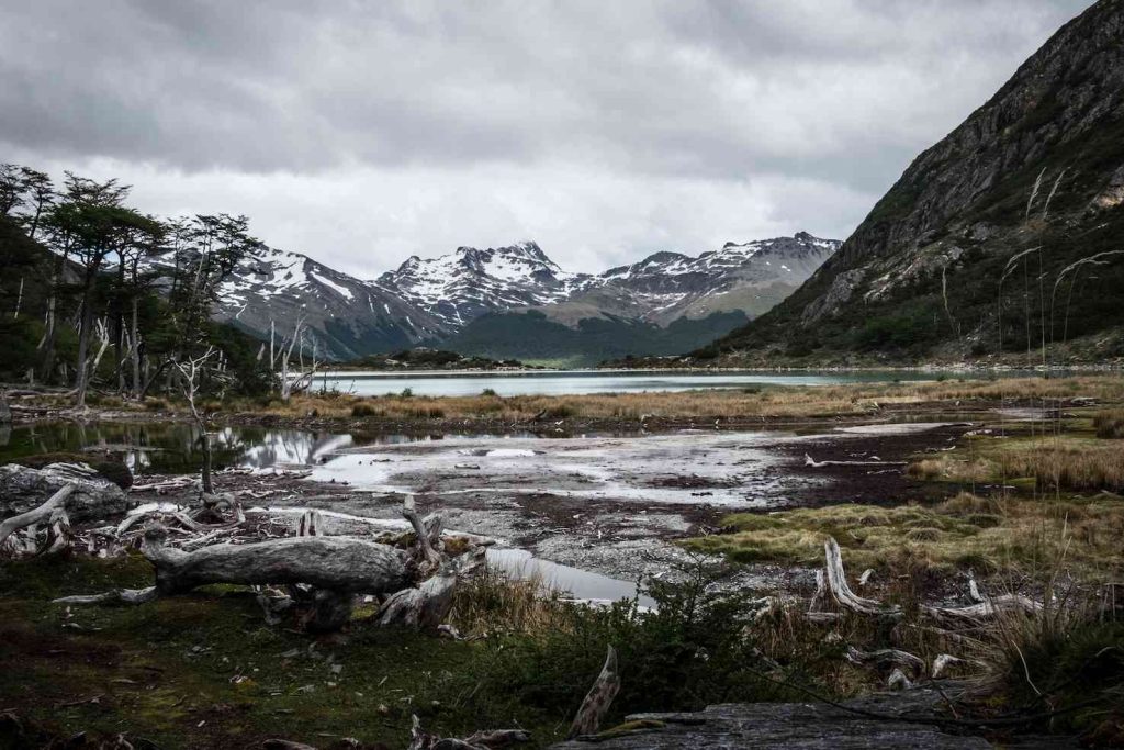 Parco Nazionale di Ushuaia (Stefania Prandi)