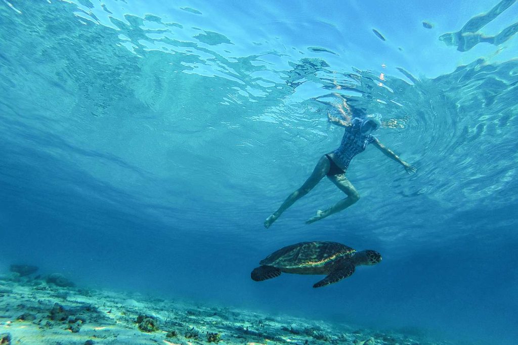 Immersione con le tartarughe marine (Coco Villa)