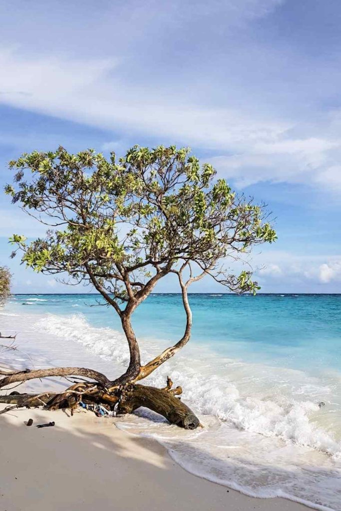 Vista della bikini beach