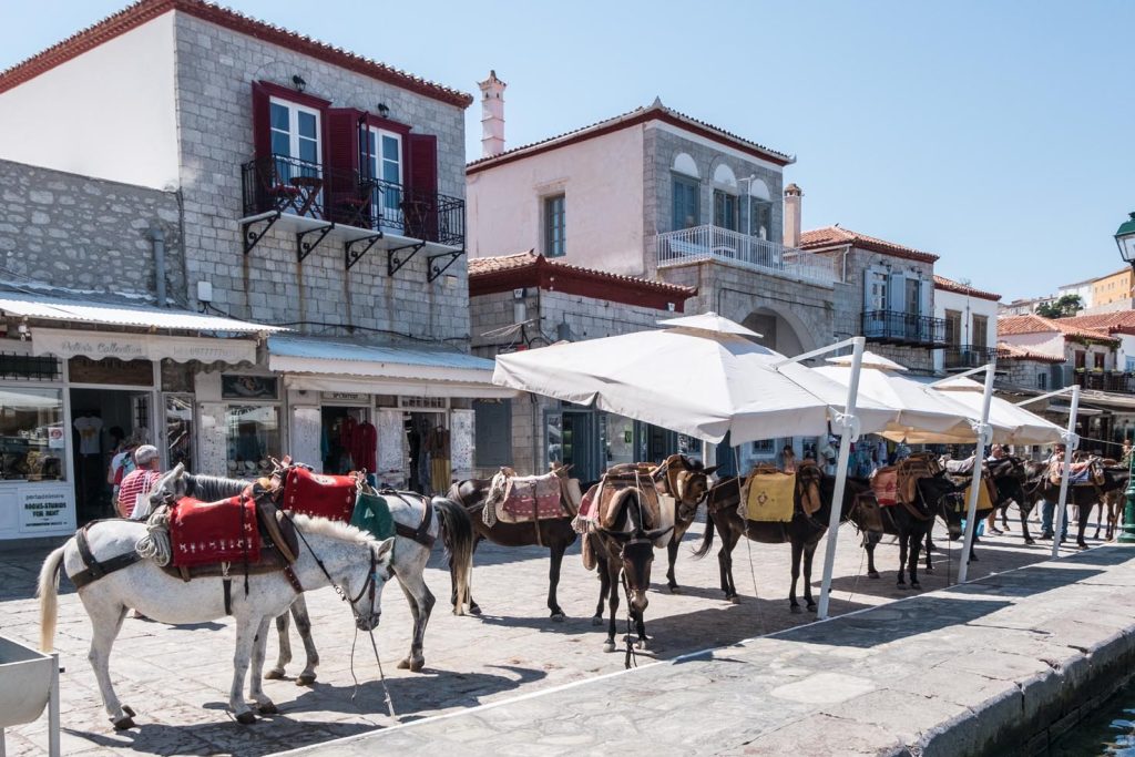 Muli da trasporto «parcheggiati» all’ingresso del porto di Idra