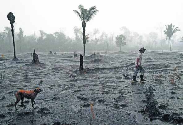 L'Amazzonia è uno scrigno prezioso di biodiversità, nonché una terra in cui vivono persone che rischiano di morire insieme agli alberi (AFP)