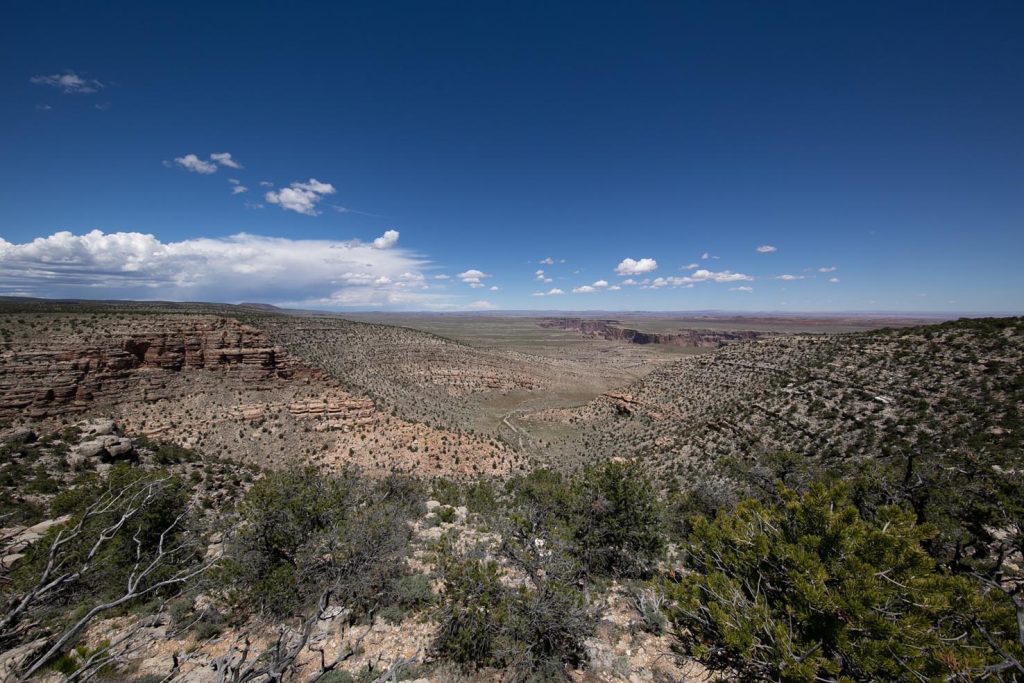 I prati della Horse Shoe Mesa, Grand Canyon National Park