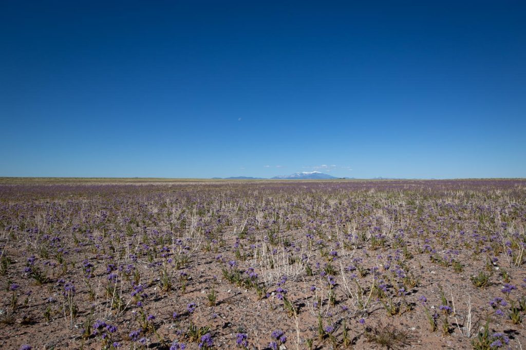 Dinnebito Wash, Arizona