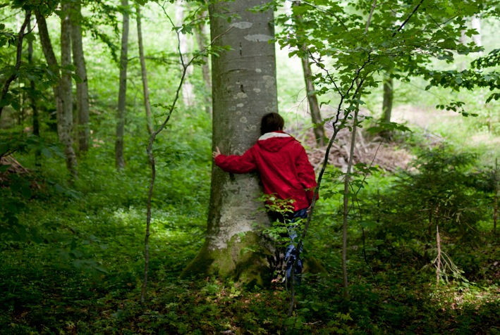 Amico albero (Yann André)