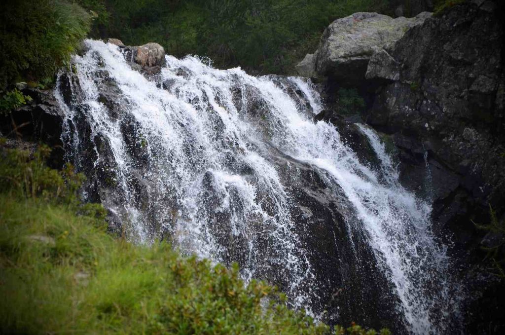 L'acqua del Rii Mognola