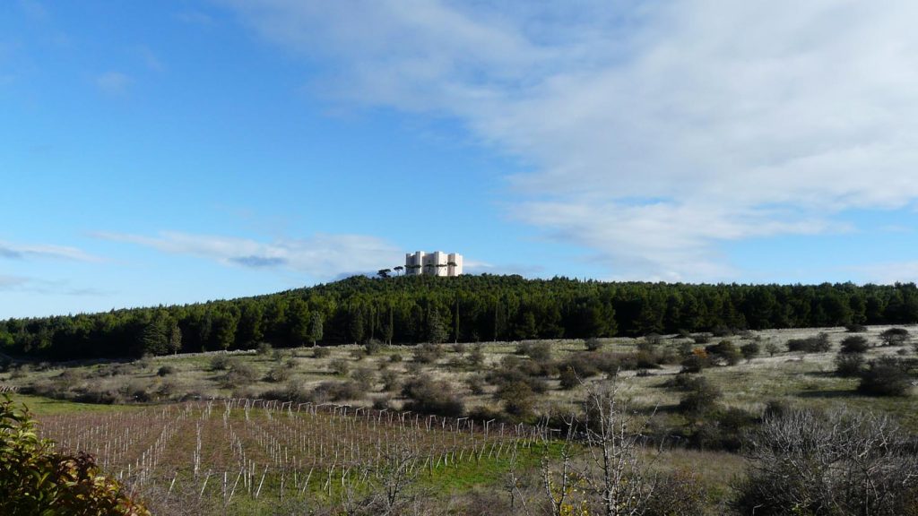 Vigneti di Andria, sullo sfondo il Castel del Monte (Deblu68)
