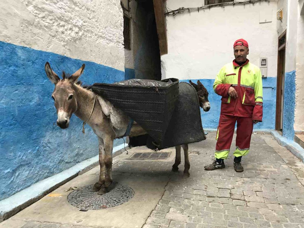 (Oliver Majer-Trendel)