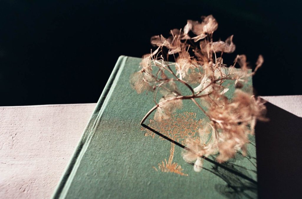 Lo scopo ultimo della letteratura non è offrire soluzioni pronte, ma individuare le contraddizioni e comprenderne le cause (pxhere.com)