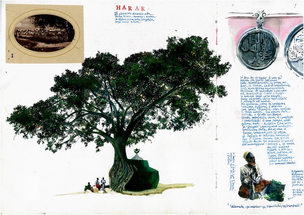 Piccoli santuari sufi sono segnati da alberi immensi, come questo sicomoro secolare non lontano dalla porta Erere