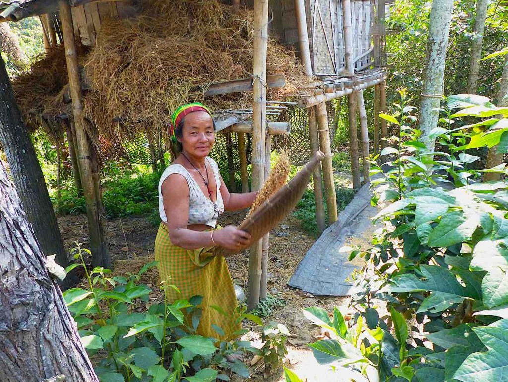 India, Assam, Majuli, grande isola al centro della bassa valle del Brahmaputra