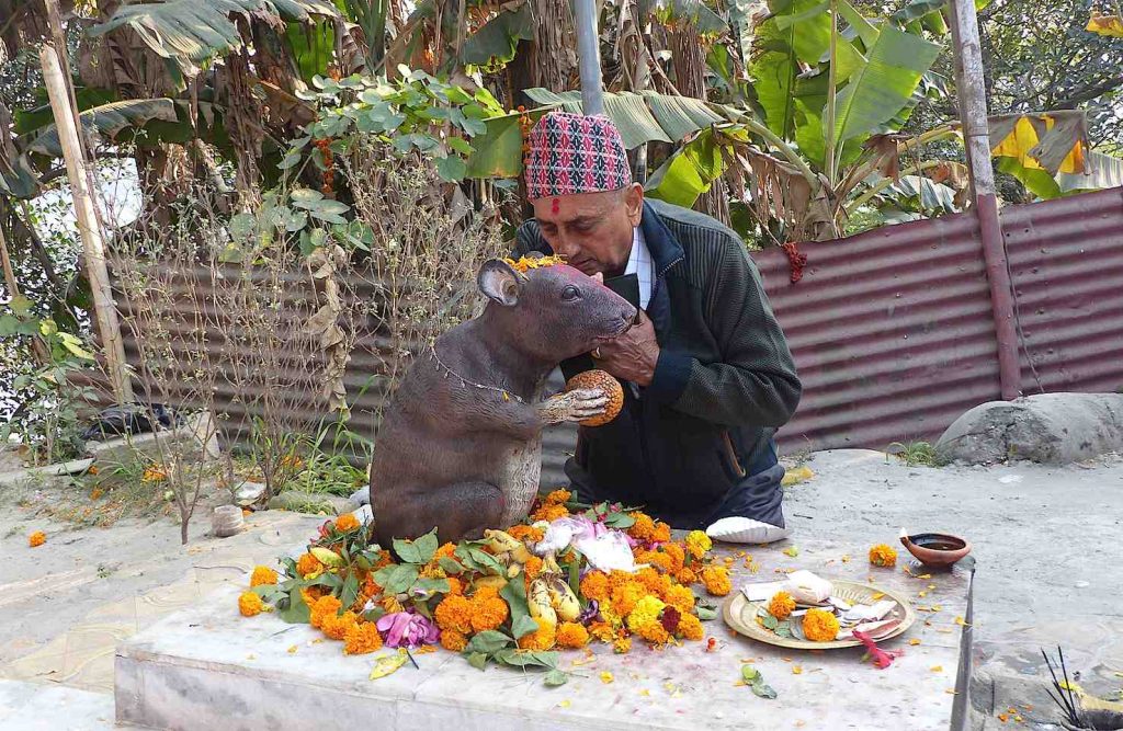 L’isola tempio Umananda