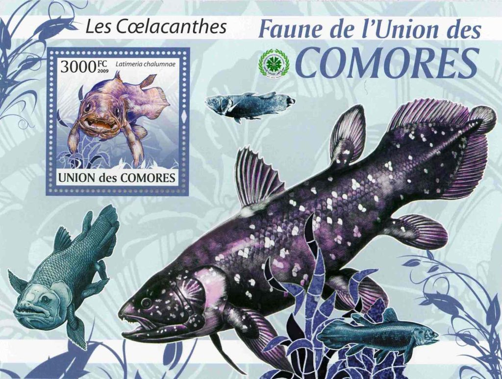 Latimeria chalumnae, francobollo dell’Unione delle Comore (Rudolf Stockar)
