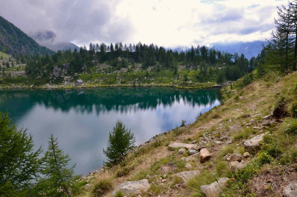 Non un guizzo di trota